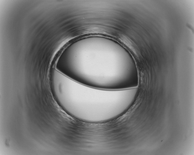 X0000099311068200805020727