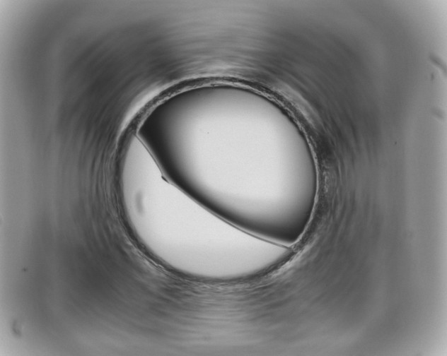 X0000099311069200805020727
