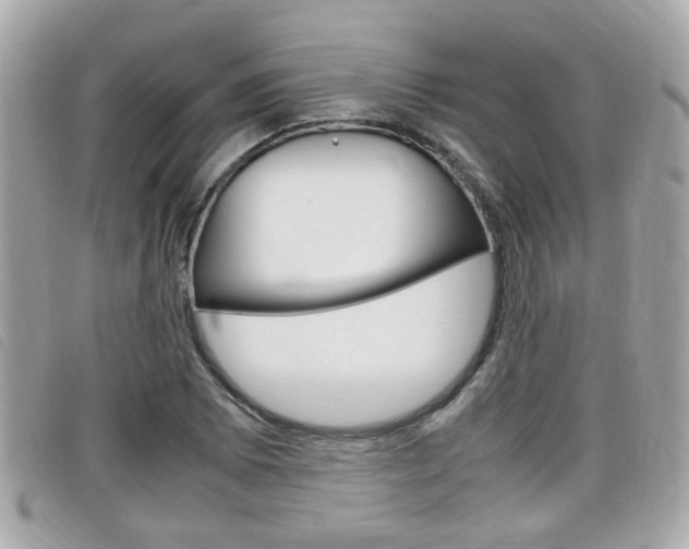 X0000099311073200805020727