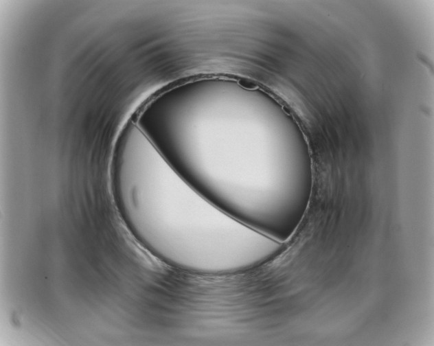 X0000099311076200805020727