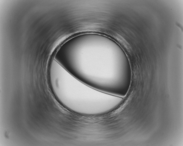 X0000099311077200805020727
