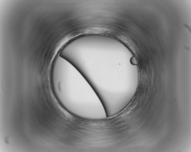 X0000099311083200805020727
