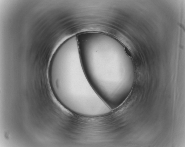 X0000099311084200805020727