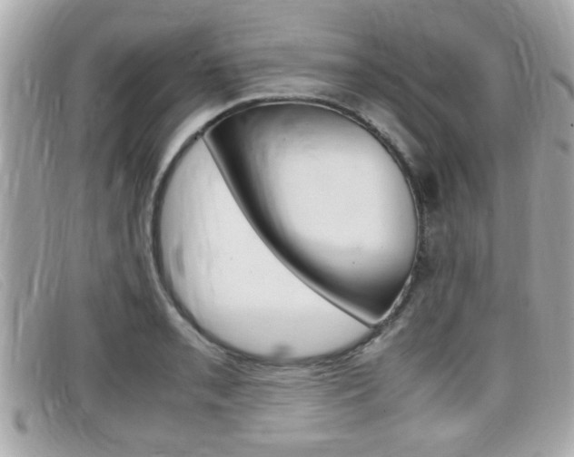X0000099311085200805020727