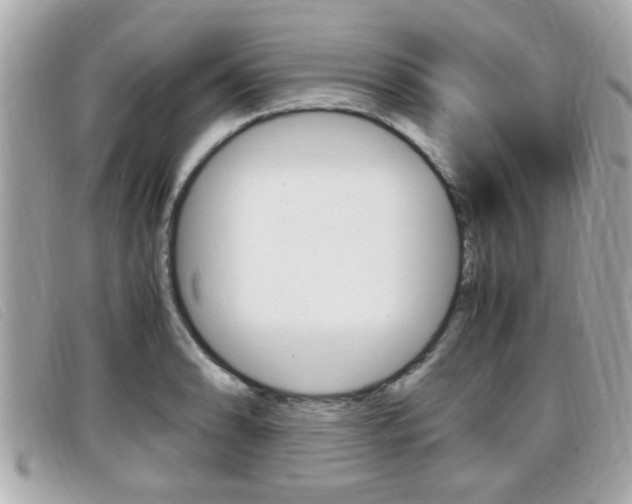 X0000099311086200805020727