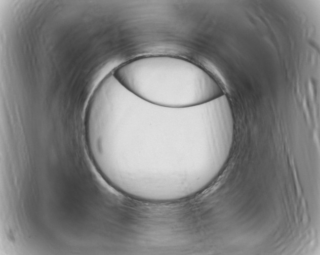 X0000099311087200805020727