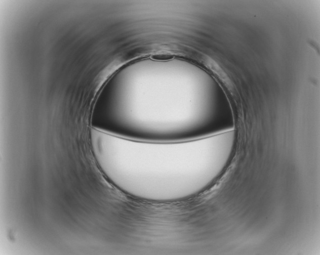 X0000099311089200805020727
