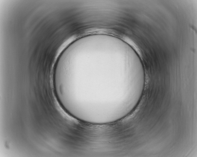 X0000099311090200805020727
