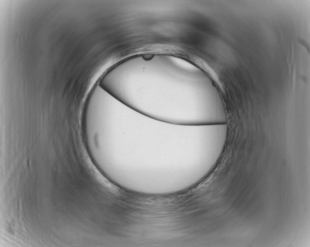X0000099311091200805020727