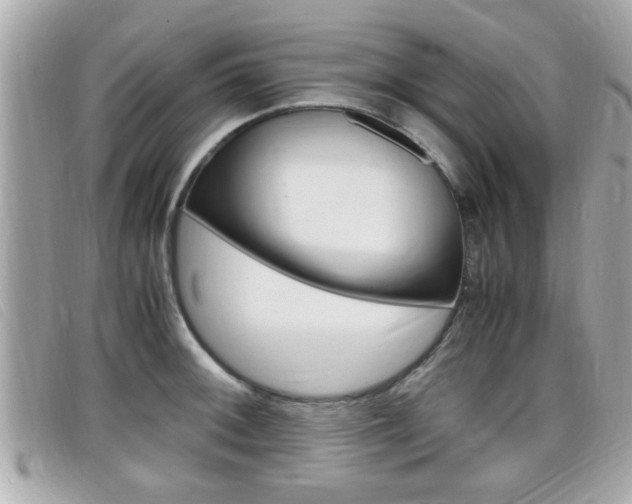 X0000099311092200805020727