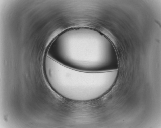 X0000099311093200805020727