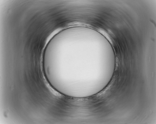 X0000099311098200805020727