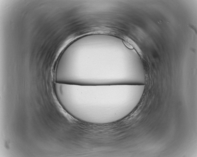 X0000099311099200805020727