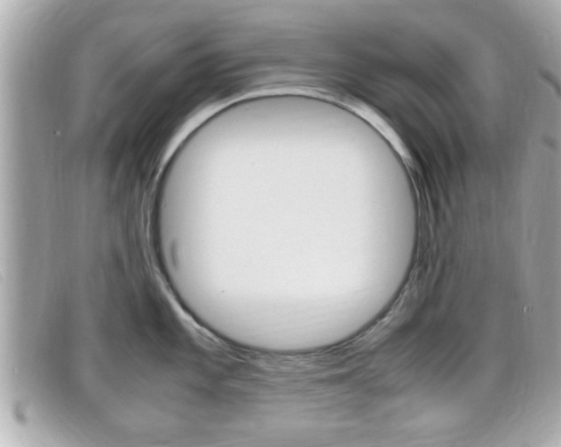 X0000099311101200805020727