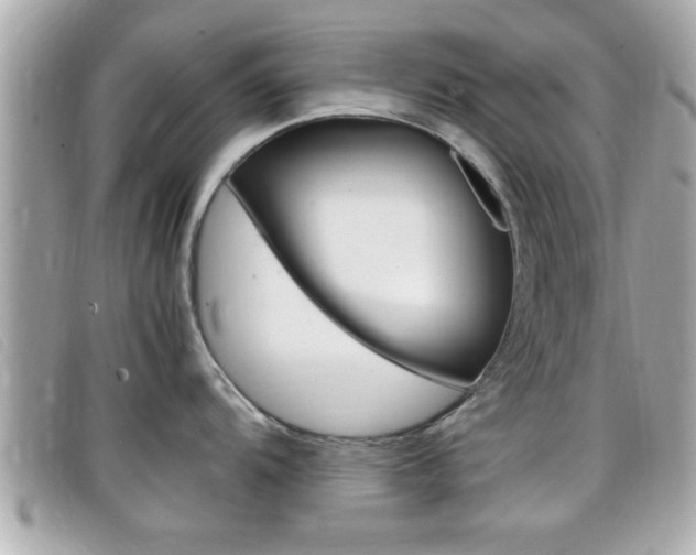 X0000099311104200805020727