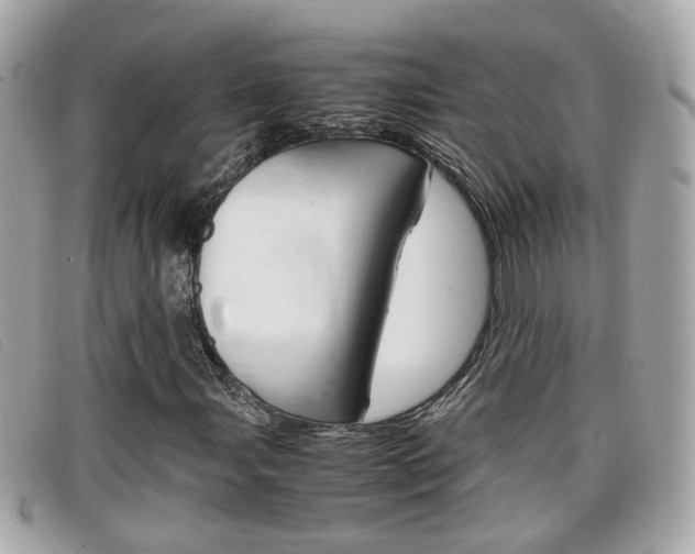 X0000099311107200805020726