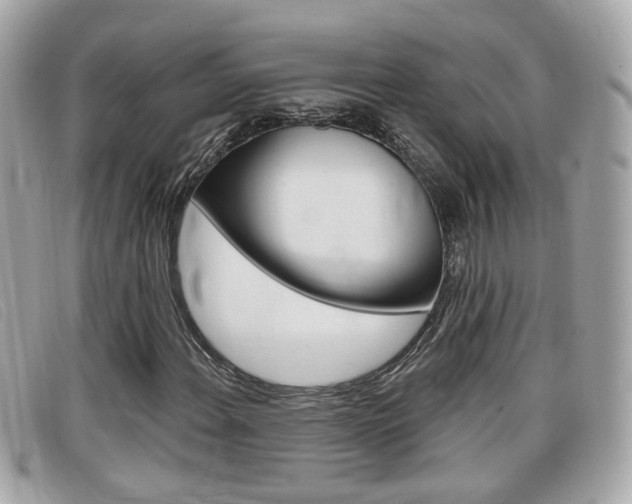 X0000099311108200805020726