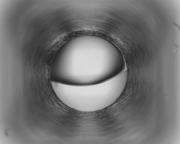 X0000099311110200805020726