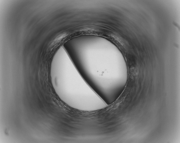 X0000099311111200805020726
