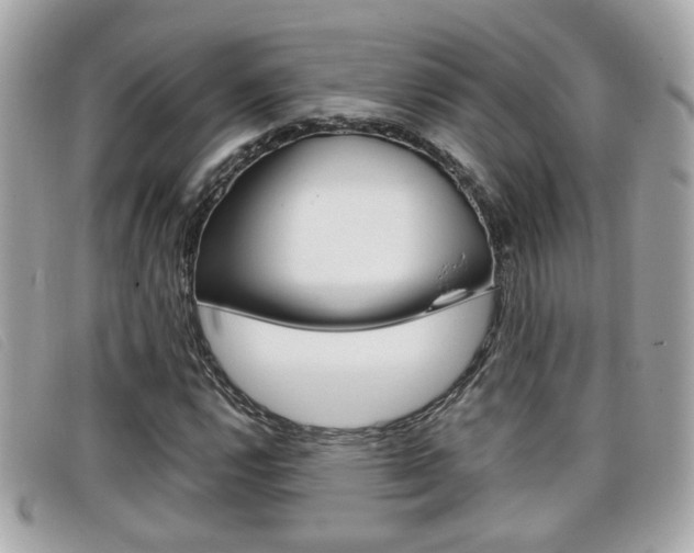 X0000099311112200805020726