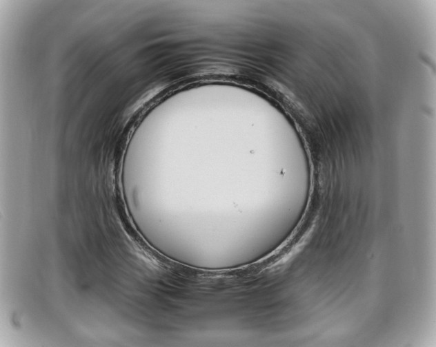 X0000099311113200805020726