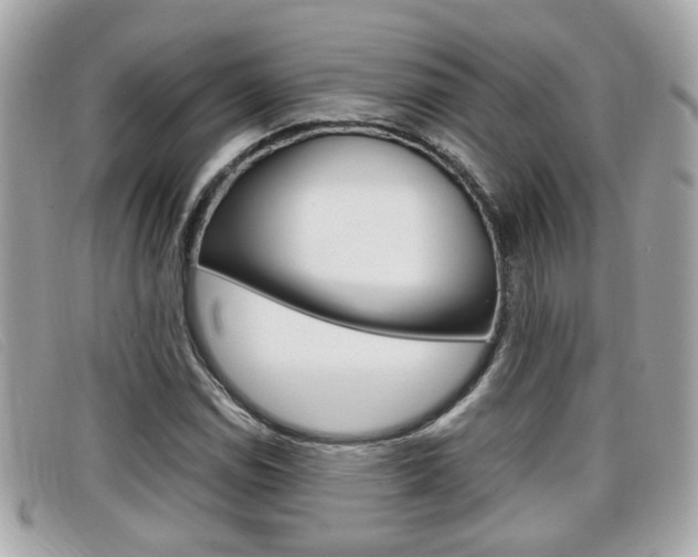 X0000099311114200805020726