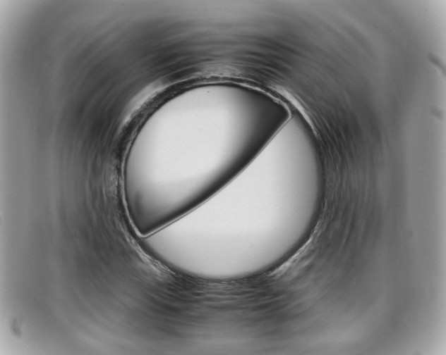X0000099311115200805020726
