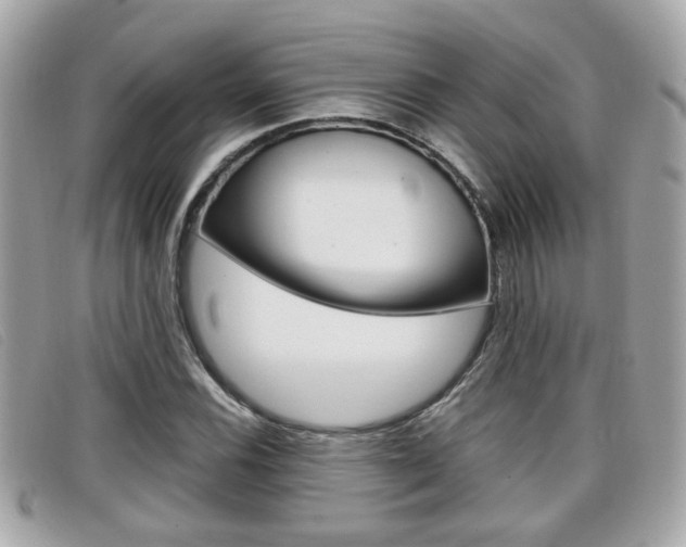X0000099311116200805020726