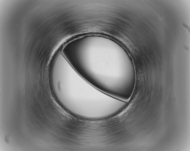 X0000099311118200805020726