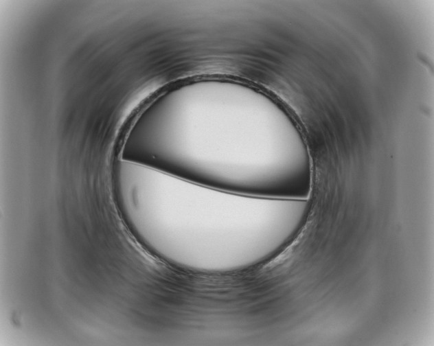 X0000099311119200805020726