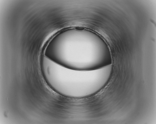 X0000099311120200805020726