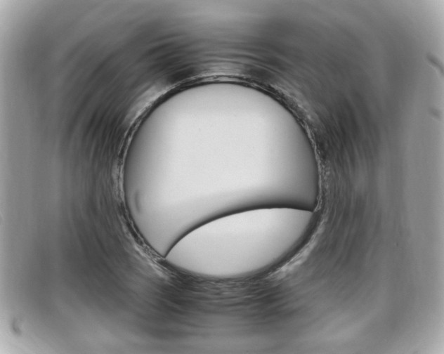 X0000099311121200805020726