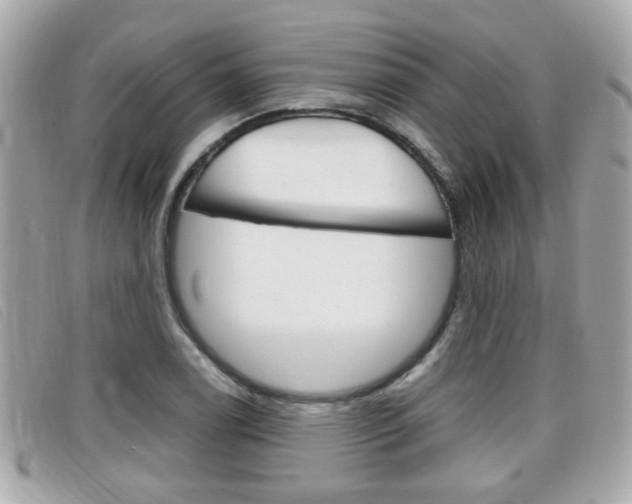 X0000099311122200805020726