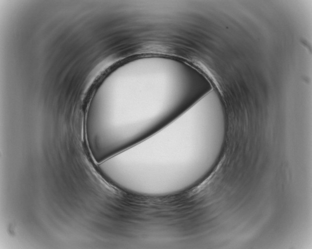 X0000099311123200805020726