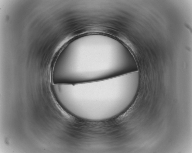 X0000099311127200805020726