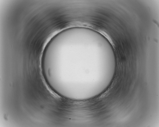 X0000099311128200805020726