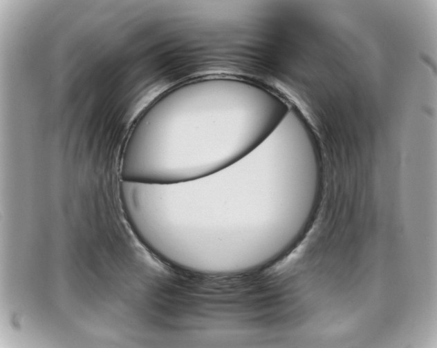 X0000099311129200805020726