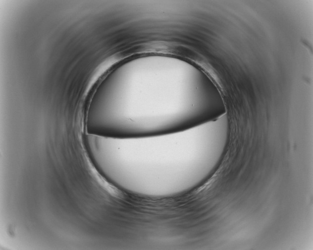 X0000099311131200805020726