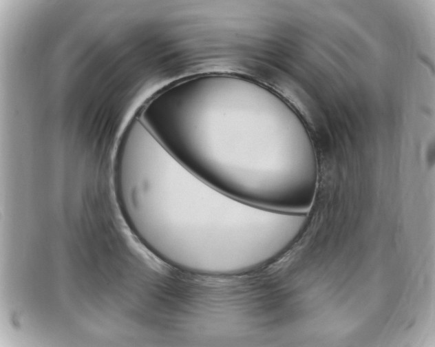 X0000099311132200805020726