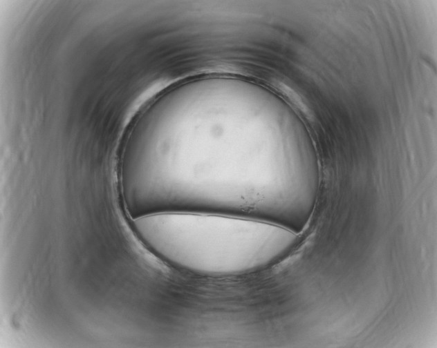 X0000099311133200805020726