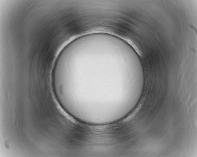 X0000099311134200805020726