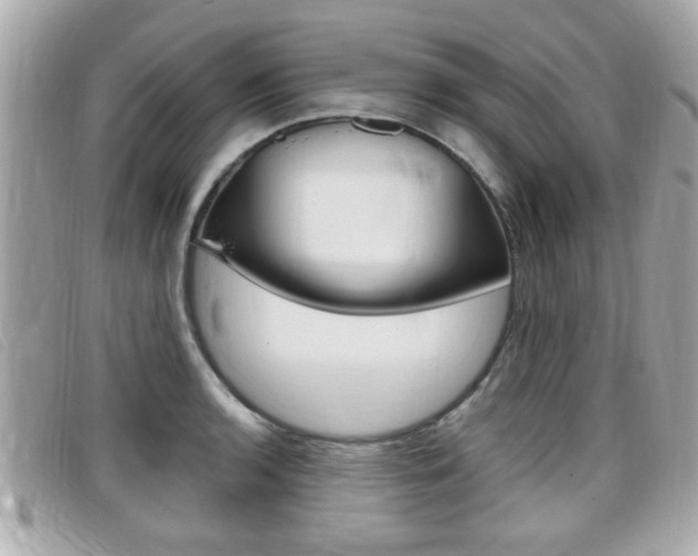 X0000099311136200805020726