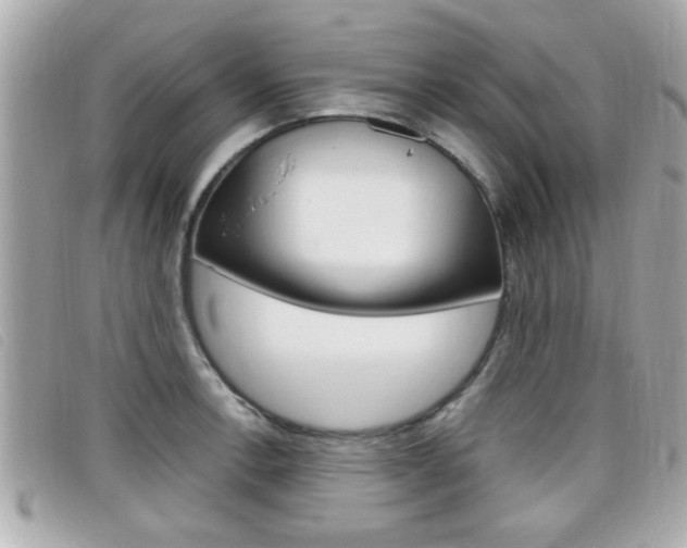 X0000099311138200805020726