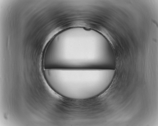 X0000099311139200805020726