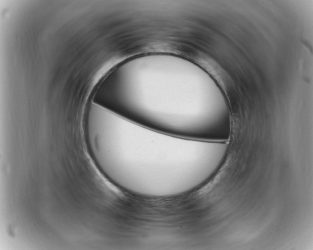 X0000099311141200805020726