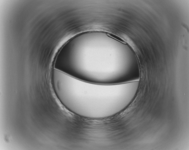 X0000099311144200805020726