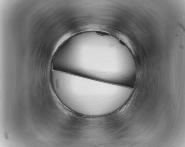 X0000099311146200805020726