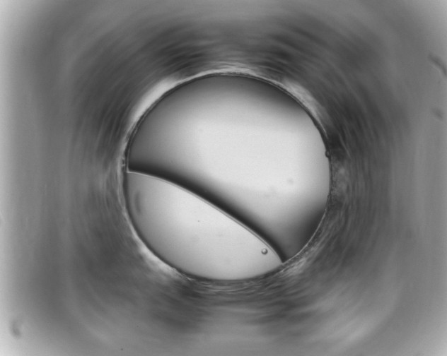X0000099311151200805020726