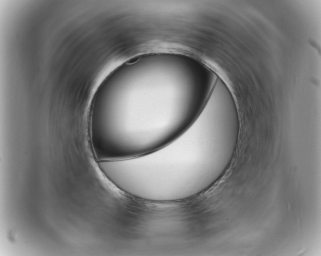 X0000099311152200805020726