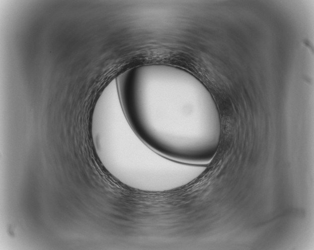 X0000099311153200805020726